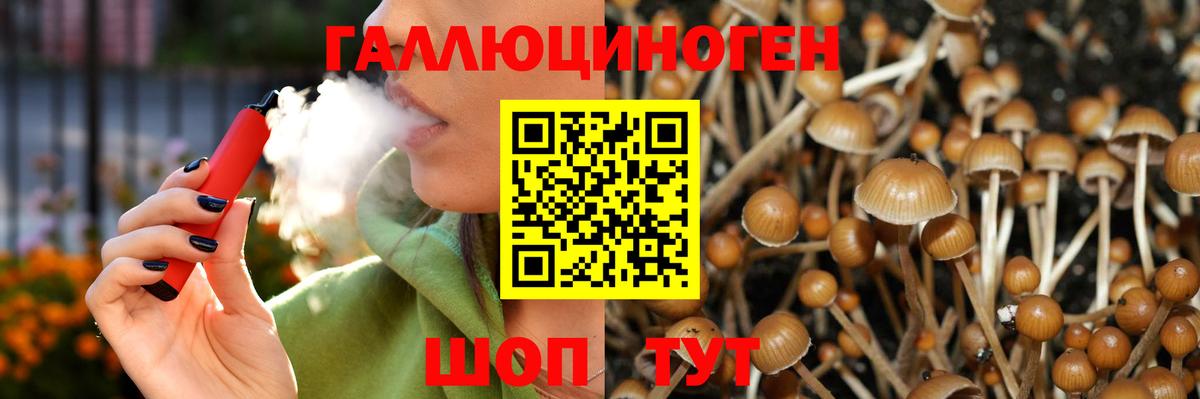 Галлюциногенные грибы Psilocybe  Вход с VPN  Ярославль 